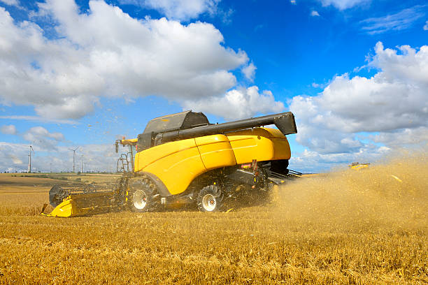 istock Two Combine Harvesters in Barley Field during Harvest 170453263