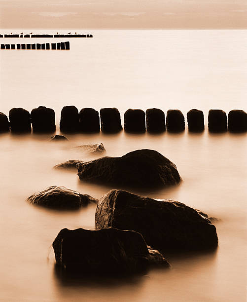 North Sea beach with  wooden poles .