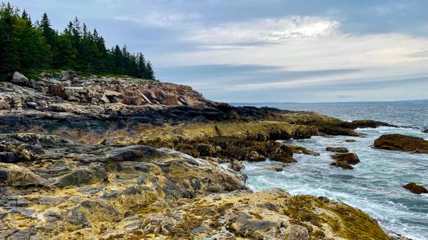 istock Rocky coast of Bar Harbor 1704536233