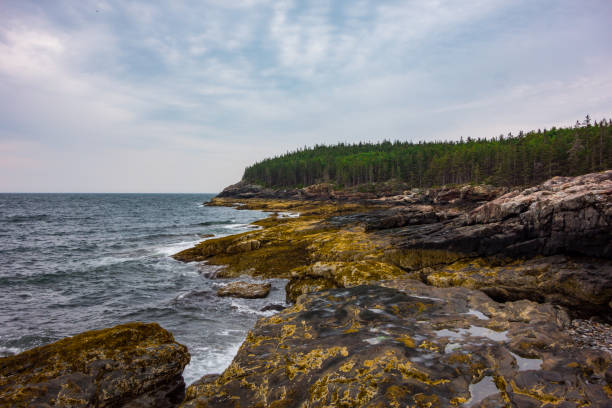 istock Rocky coast of Bar Harbor 1704536234