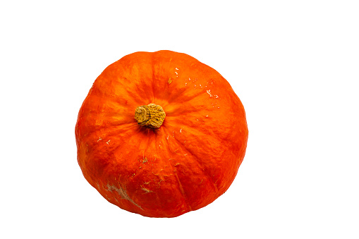 Pumpkin isolated on white background in autumn season