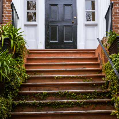 Historic building in Charleston, South Carolina, USA. Architectural details: stairs with ivy