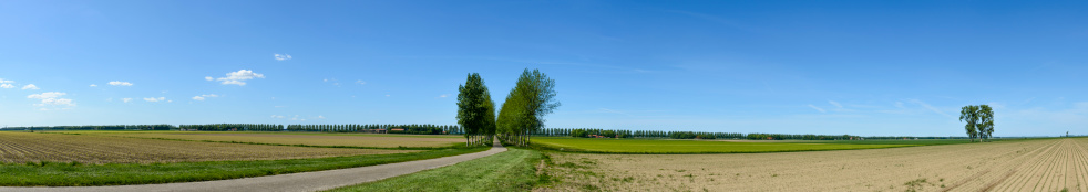 Panorama of a landscape in the Noordoostpolder in The Netherlands on a beautiful day.