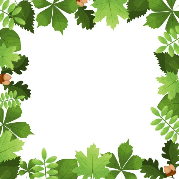 Vector illustration of square empty frame with green leaves. vector illustration