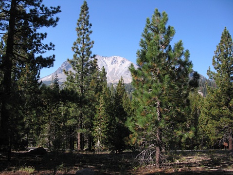 Mountain top visible through trees