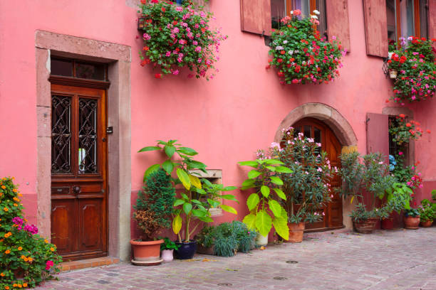 House facade with flowers in beautiful Colmar, Alsace, France