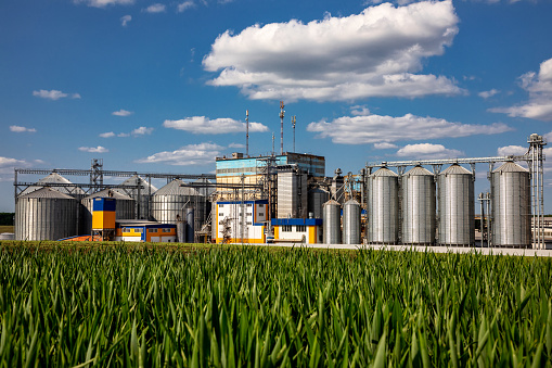 Agricultural Silos on the background of the field. Storage and drying of grains, wheat, corn, soy, sunflower against the blue sky with white clouds. Storage of the crop.