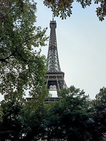 looking at the Eiffel Tower through tree branches