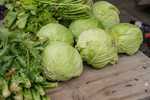 organically grown cabbages and turnip greens in a traditional market
