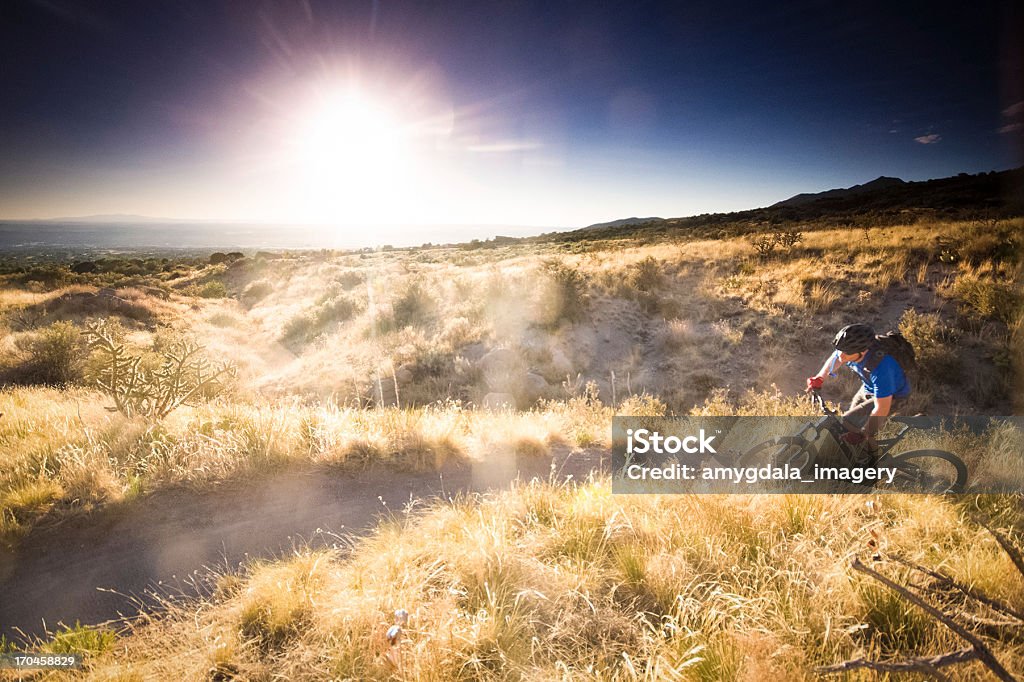 mountain biking sol! - Foto de stock de Mountain Bike - Bicicleta royalty-free