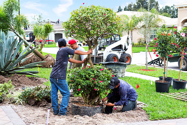 landscaing eine front yard - gartenarchitekt stock-fotos und bilder