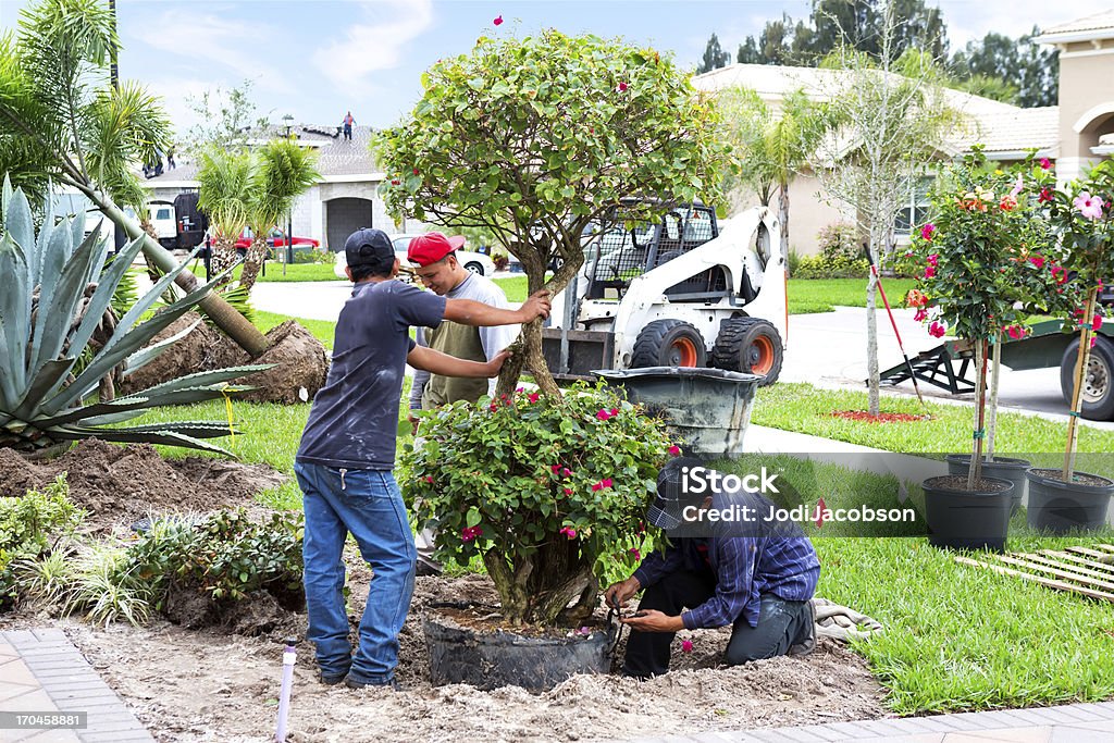 Landscaing a front yard landscaping a front yard Landscaped Stock Photo