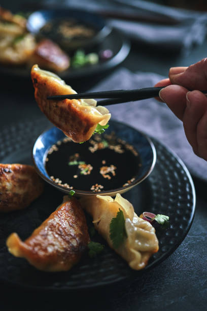istock Gyoza Japanese Potstickers 1704627967