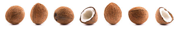 코코넛 (avocado coconuts) - 코코넛 뉴스 사진 이미지