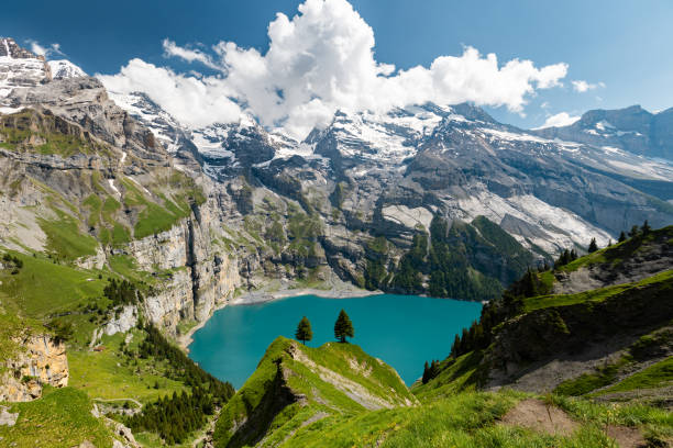 istock Two Trees of Switzerland 1704675590