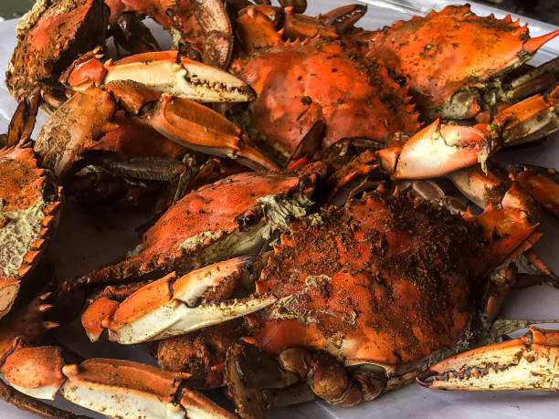 куча пропаренных синих крабов (мэриленд) - maryland blue crab стоковые фото и изображения