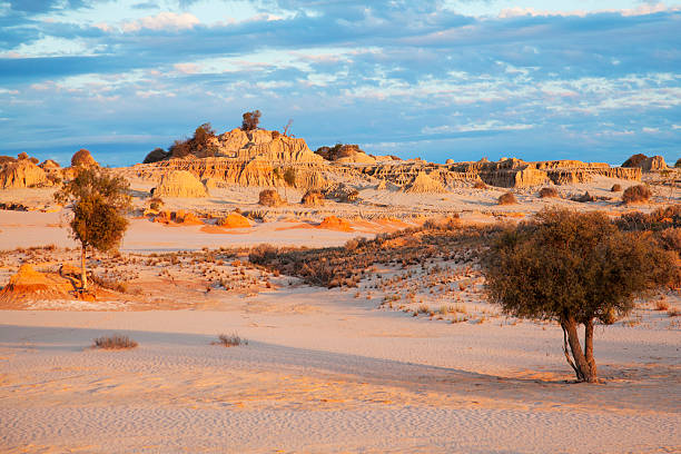 Mungo National Park at sunset The Walls of China at Mungo National Park, Australia. At sunset the rocks and sand of this World Heritage Site are lit up with orange, gold and pink tones australian bush stock pictures, royalty-free photos & images