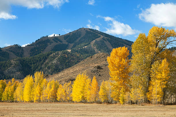 sun valley айдахо балд-маунтин - sun valley idaho стоковые фото и изображения