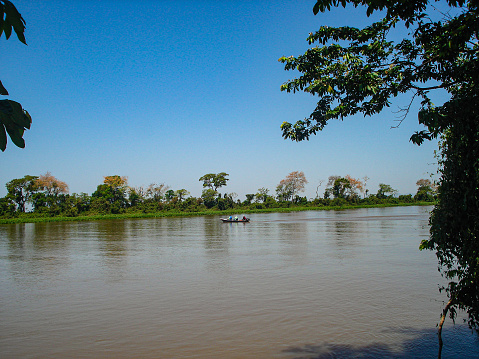 A large brazilian river on a sunny \nday in the Pantanal of Mato Grosso