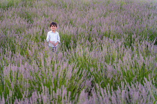 image of boy in lavender field. lavenders are in bloom. The boy looks at the camera and smiles. Shot with a full frame camera.