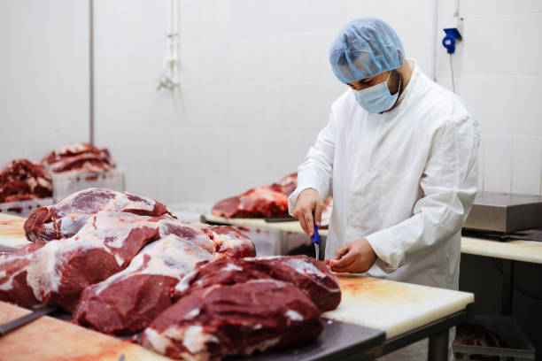 Raw meat industry worker stock photo