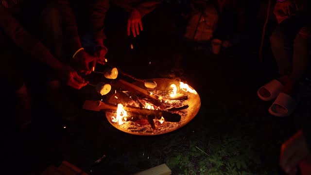 Group of friends cooking marshmallows over campfire