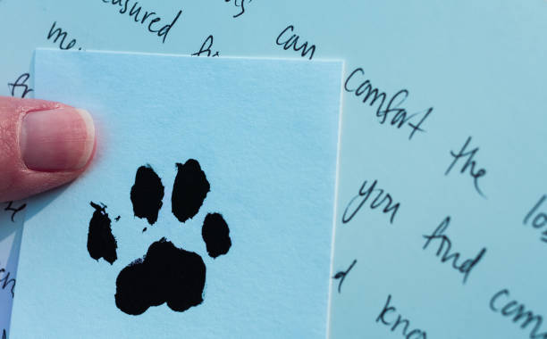 Sympathy card and paw print for loss of pet held in hand stock photo