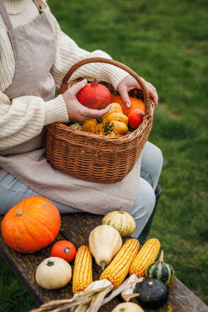 istock Female farmer holding decorative pumpkins in wicker basket 1704795014
