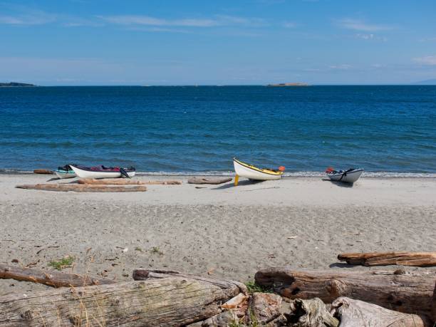 Canoes lined up at the sandy Willows beach stock photo