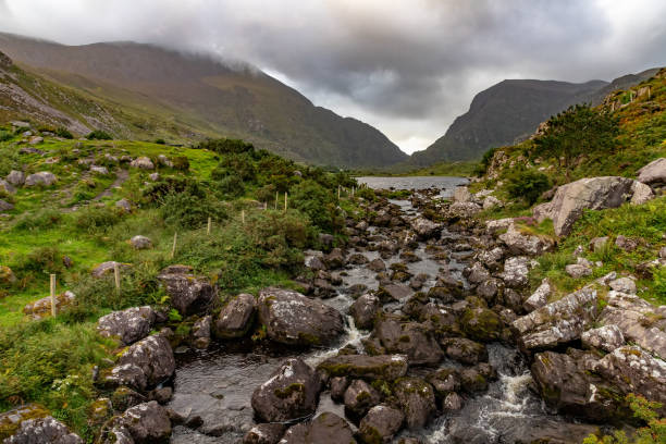 istock River on Gap of Dunloe with rocks and vegetation 1704900170