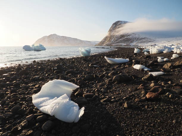 spiaggia in grise fiord, ellesmere island, nunavut : artico in canada - ellesmere island foto e immagini stock