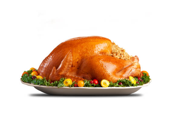 Thanksgiving Day Turkey On A Platter On White Background - fotografia de stock