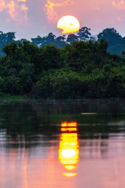 istock Scenic colorful sunset at tropical river rainforest 1705072177