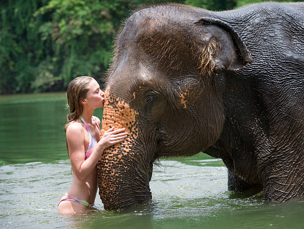 istock Woman kissing an Elephant 170507368