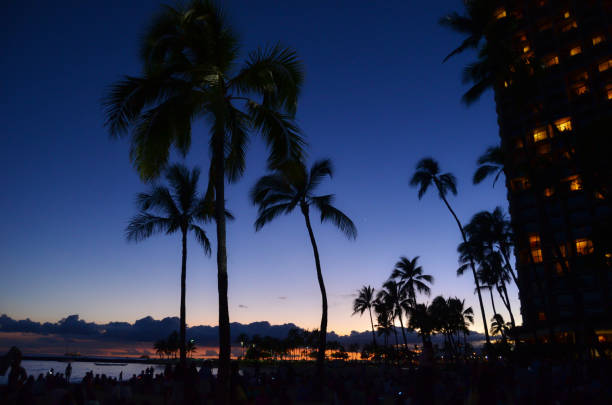 Waikiki Beach and palm trees after sunset. You can see the sea and the hotel.