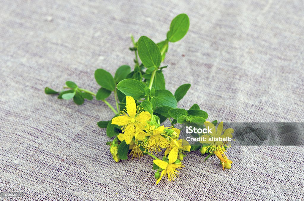 St Johns fiori di erba sul panno lino - Foto stock royalty-free di Alimentazione sana