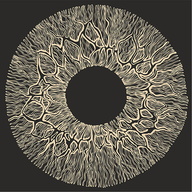 Human eye surface. Human eye surface.Drawing iris eye stock illustrations