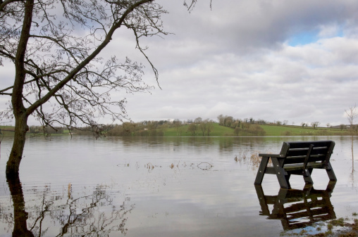 Bench submerged in a Flooded area becide a tree after severe Rain