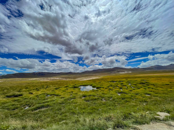 istock Deosai Dreams: Cloudscapes of the Plateau 1705155241