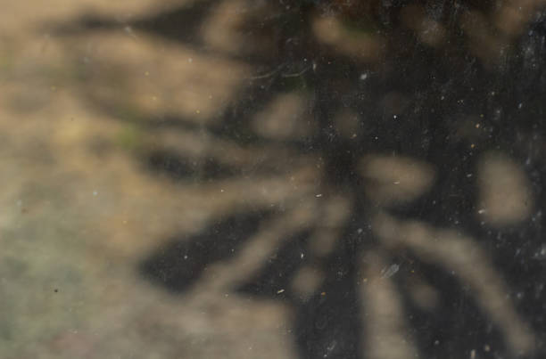 istock the window looked very dirty 1705206692