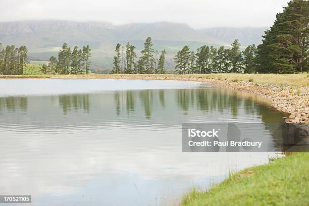 Photo libre de droit de Lac banque d'images et plus d'images libres de droit de Lac - Lac, Été, Amour