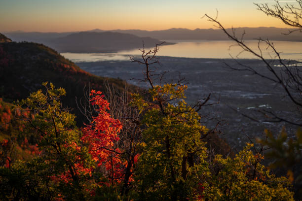 istock Sunset at Dusk Utah Lake Fall Leaves 1705213745