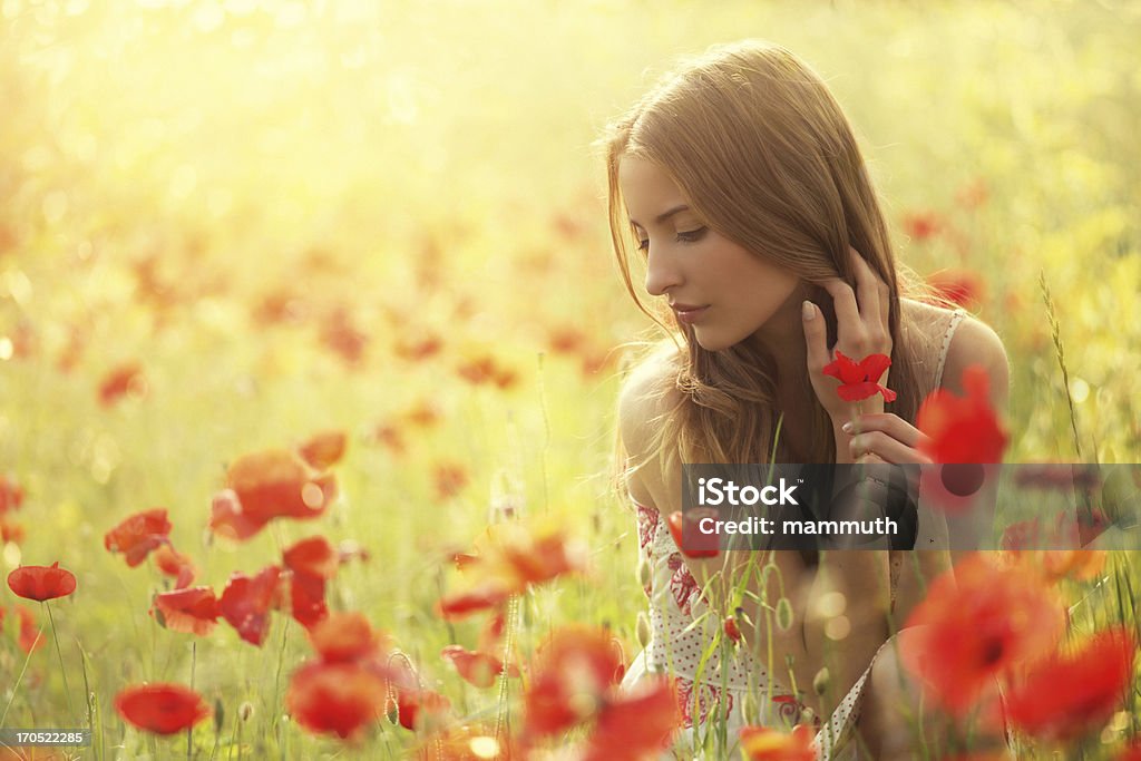 Colheita de beleza poppies no campo de Papoula - Foto de stock de 20 Anos royalty-free