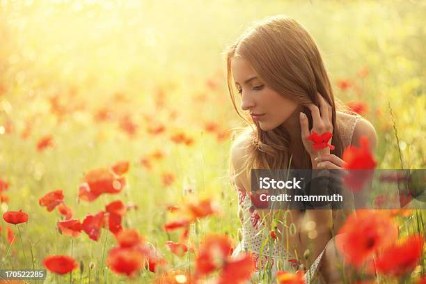 Foto de Colheita De Beleza Poppies No Campo De Papoula e mais fotos de stock de 20 Anos - 20 Anos, 20-24 Anos, Adulto