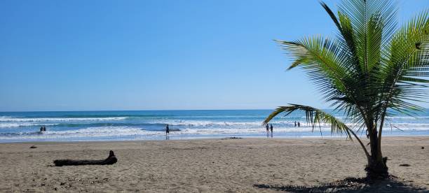 istock Costa Rica Nature 1705245158