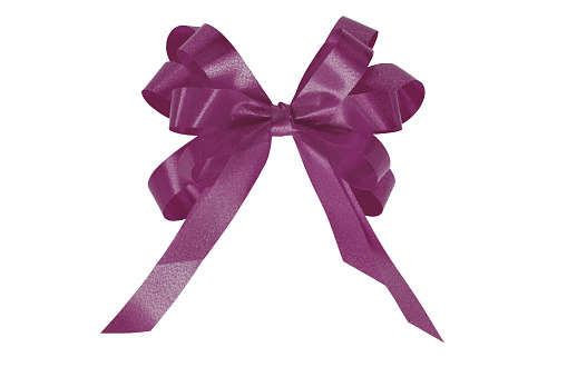 dark purple gift bow ribbon isolated on white background