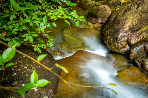 Close-up of water flowing through river rocks