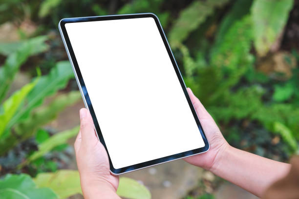 istock Mockup image of a woman holding digital tablet with blank white desktop screen 1705357491