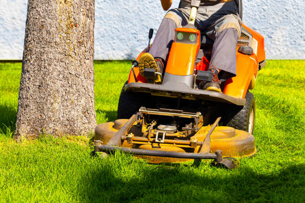 istock gardener mows the lawn on a lawn mower. 1705362754