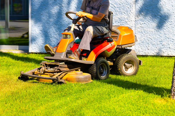istock gardener mows the lawn on a lawn mower. 1705362759